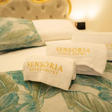 招待所 Sensoria Naxos